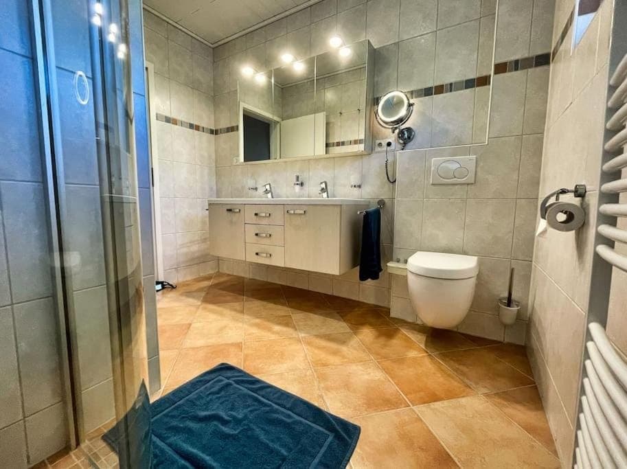 Shower, Toilet, Bathroom, towels