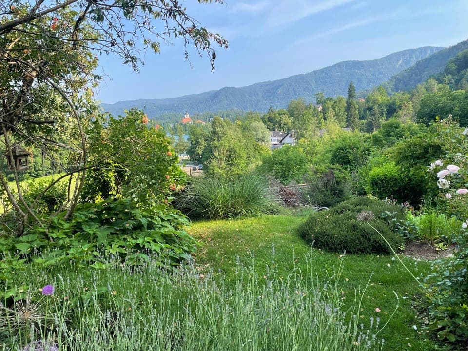 Natural landscape, Garden, Garden view