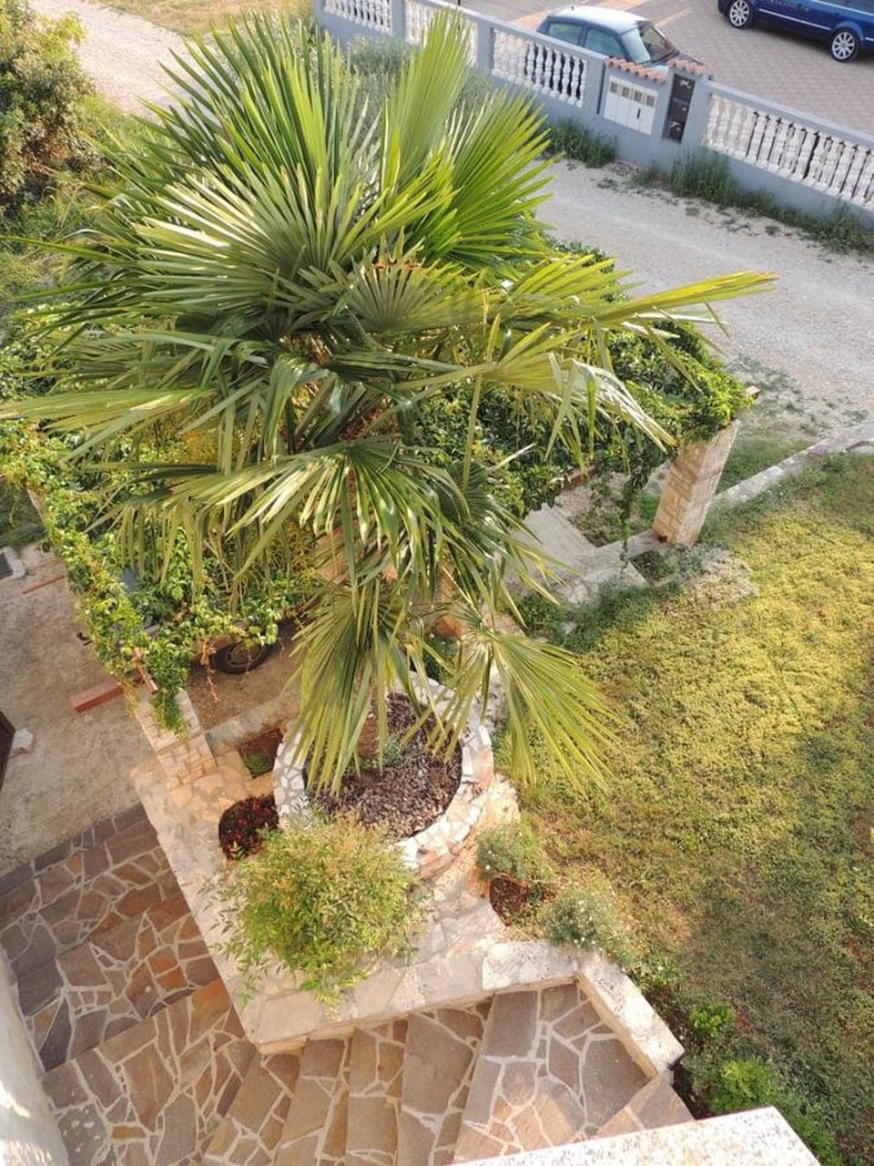 Bird's eye view, Garden, Balcony/Terrace