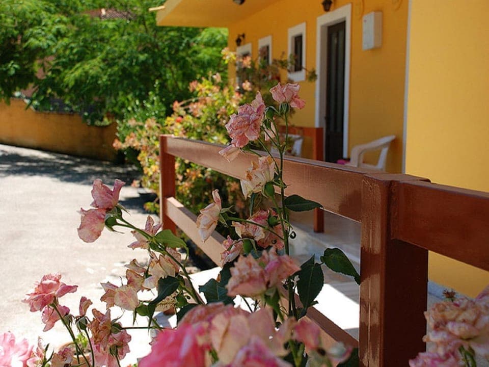 Patio, Facade/entrance, Garden, Balcony/Terrace