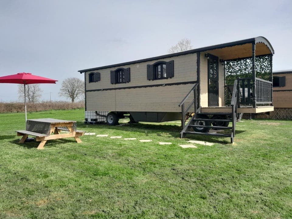 Patio, Garden, Garden view