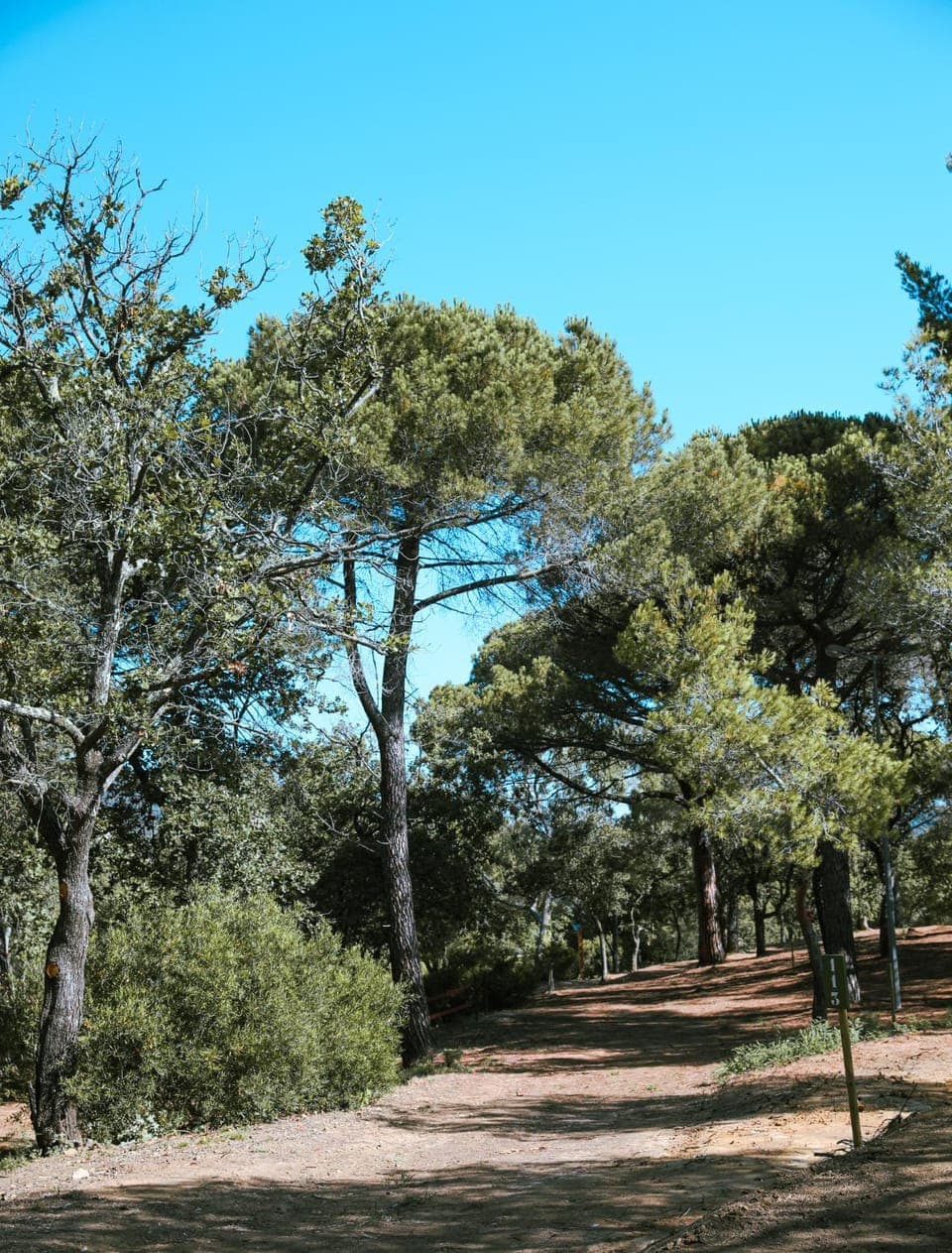 Day, Natural landscape