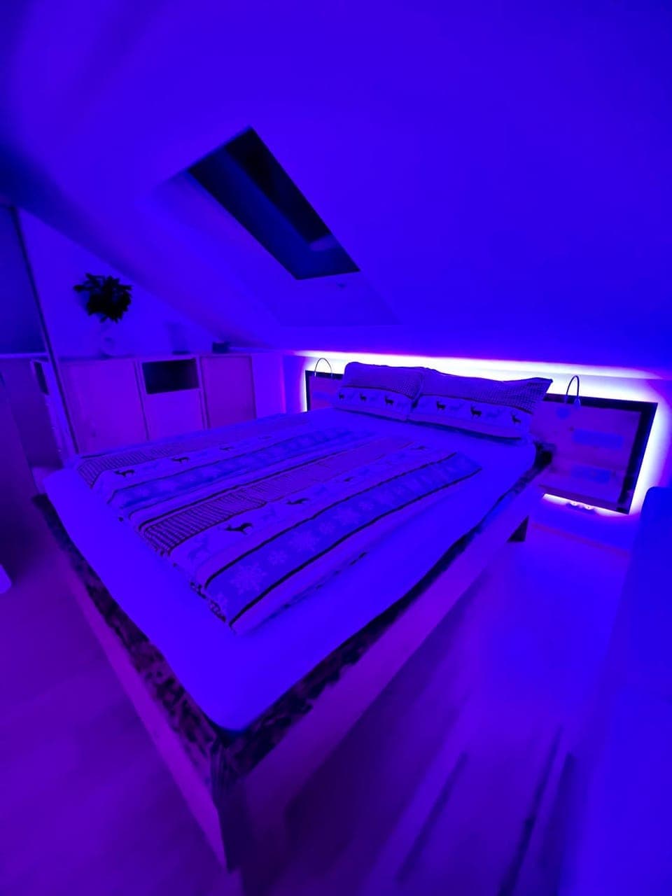 Bed, Photo of the whole room, Bedroom