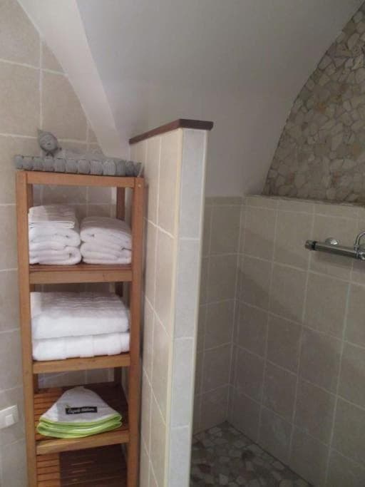 Shower, Bathroom, towels