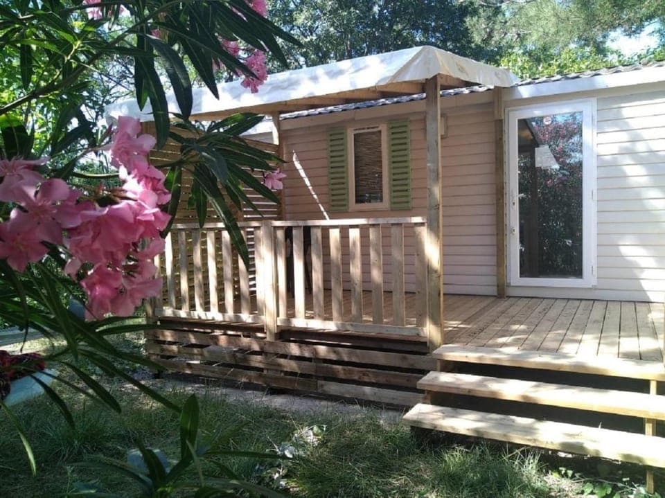 Spring, Garden, Garden view