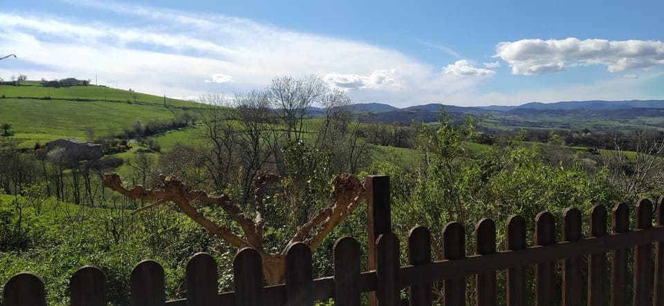 View (from property/room)