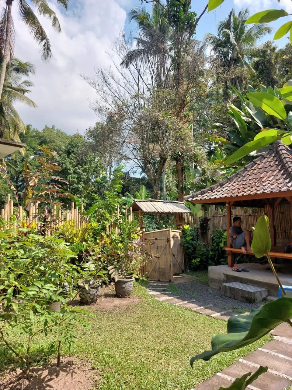 Garden view