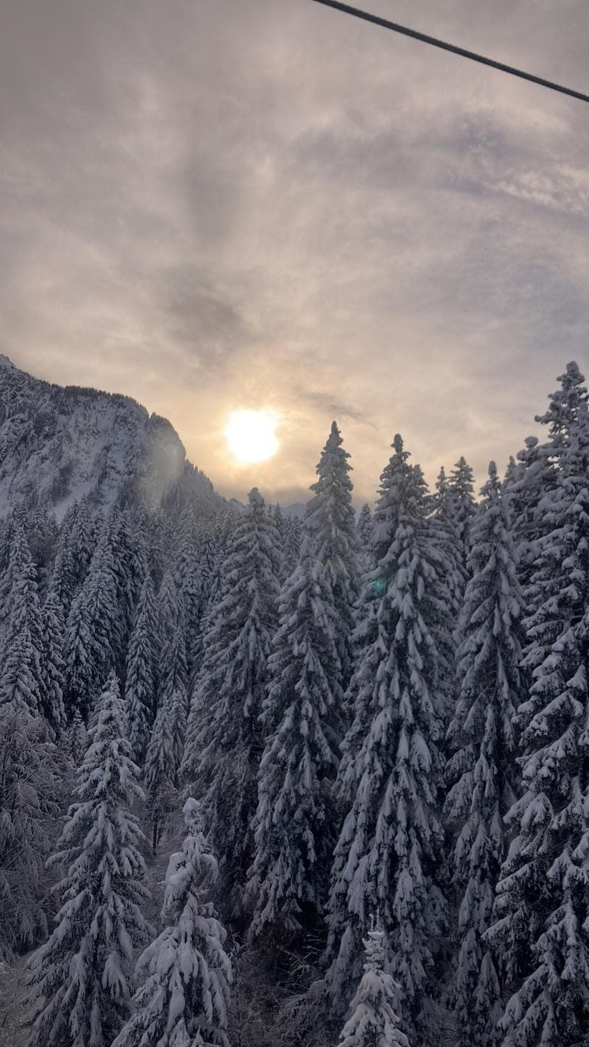 Natural landscape, Winter