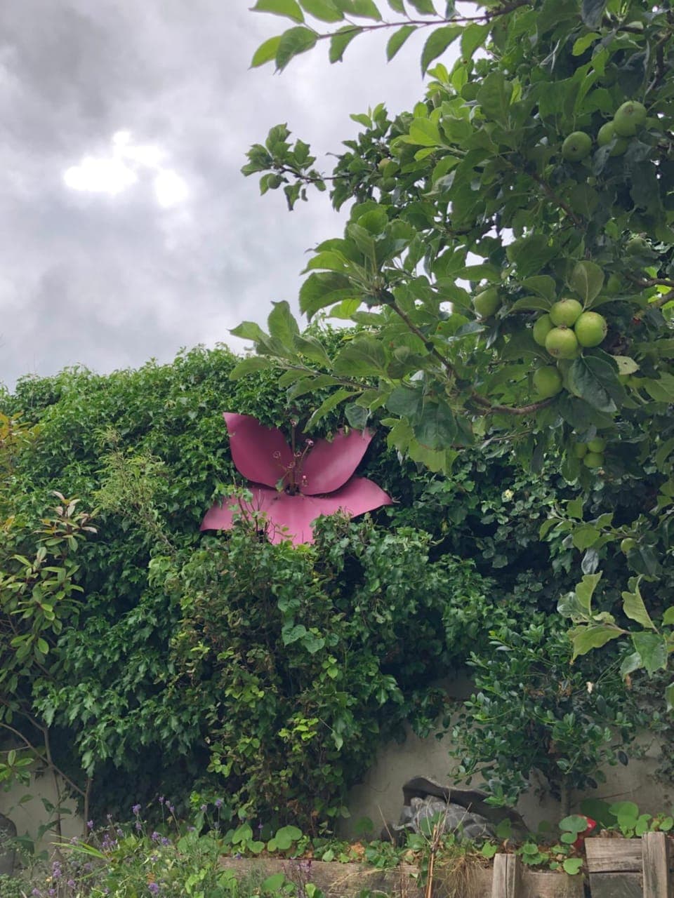 Garden view