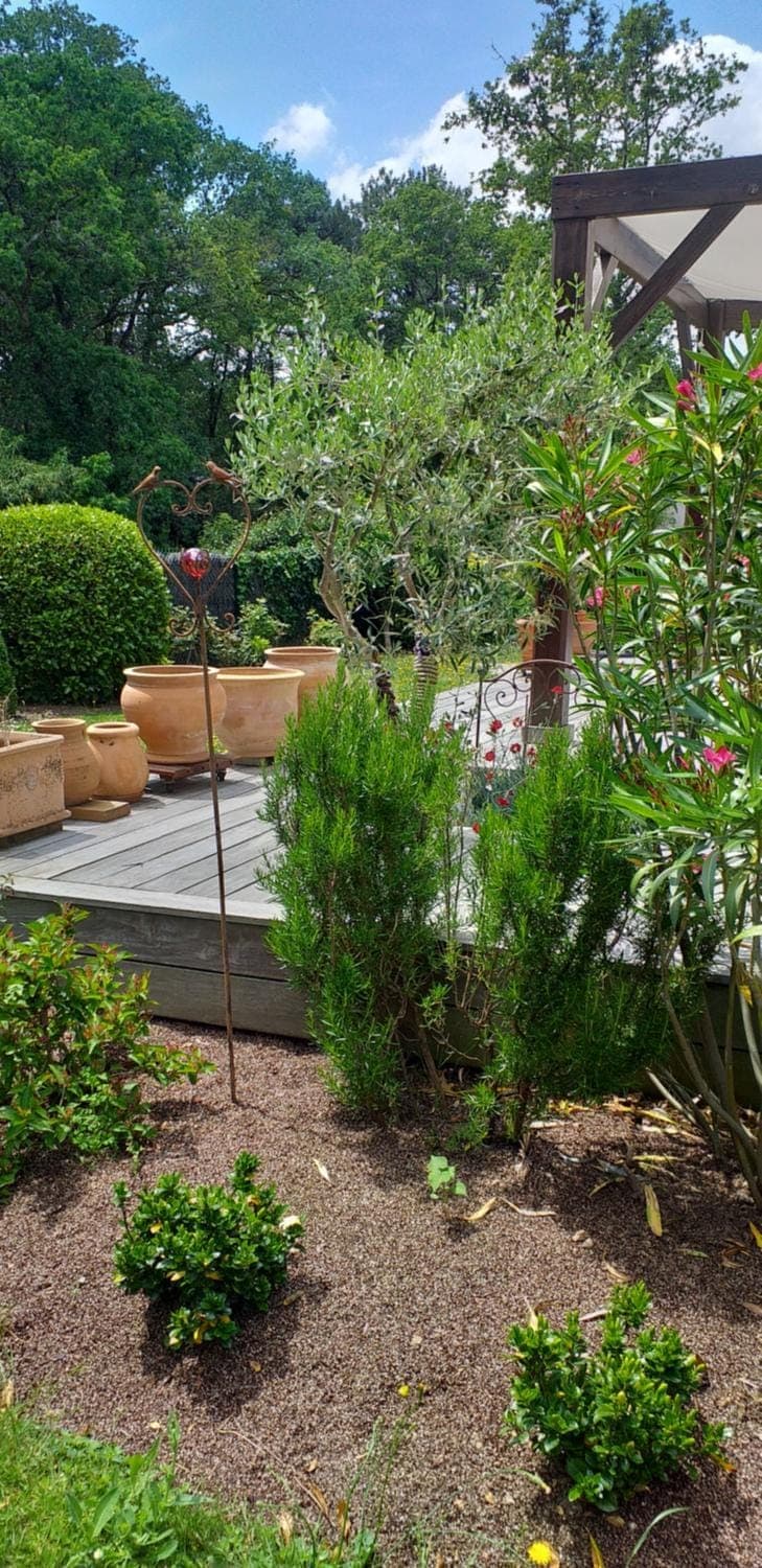 Garden, Garden, Balcony/Terrace