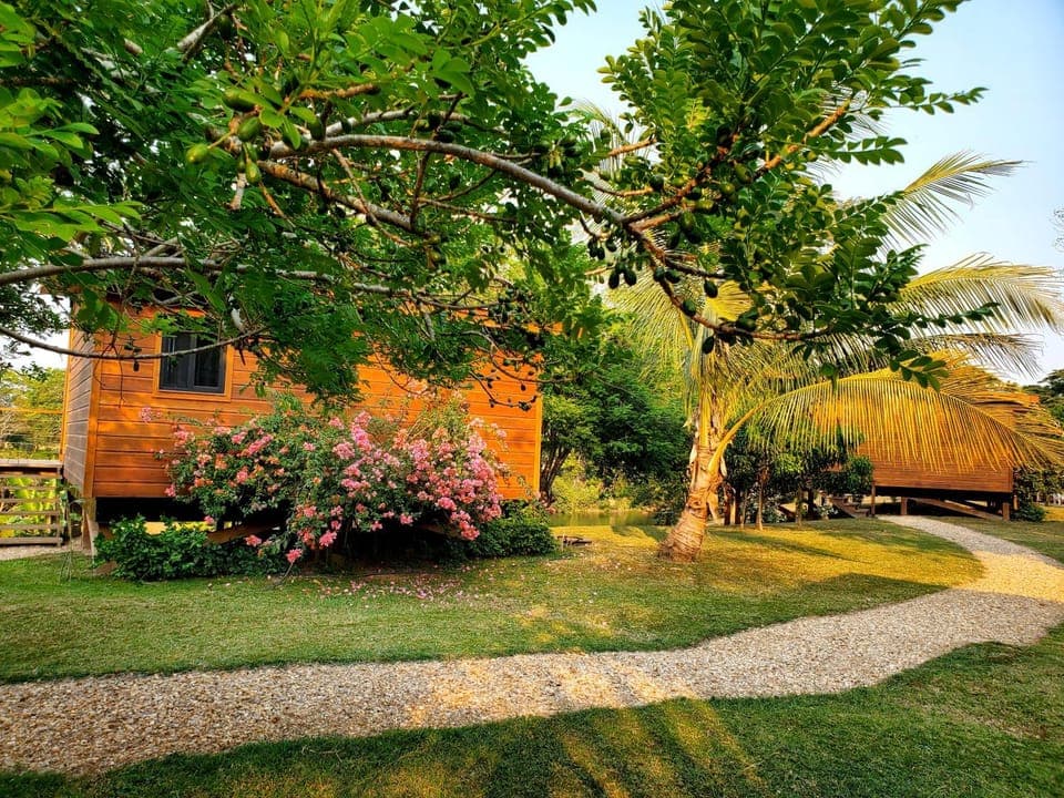 Property building, Natural landscape, Garden, Garden view