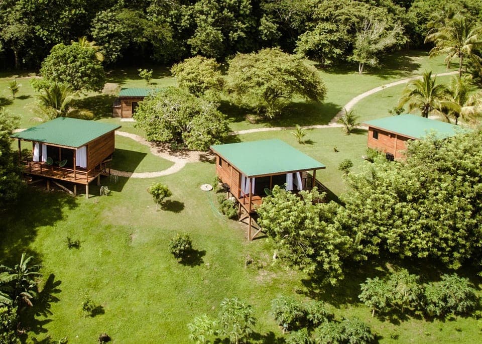 Property building, Natural landscape, Garden view