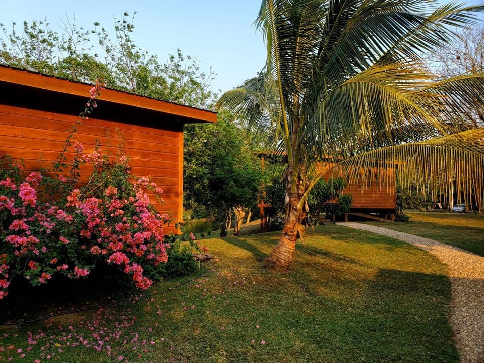 Property building, Natural landscape, Garden view