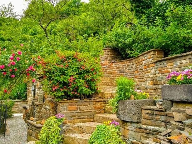 Day, Garden, Garden view