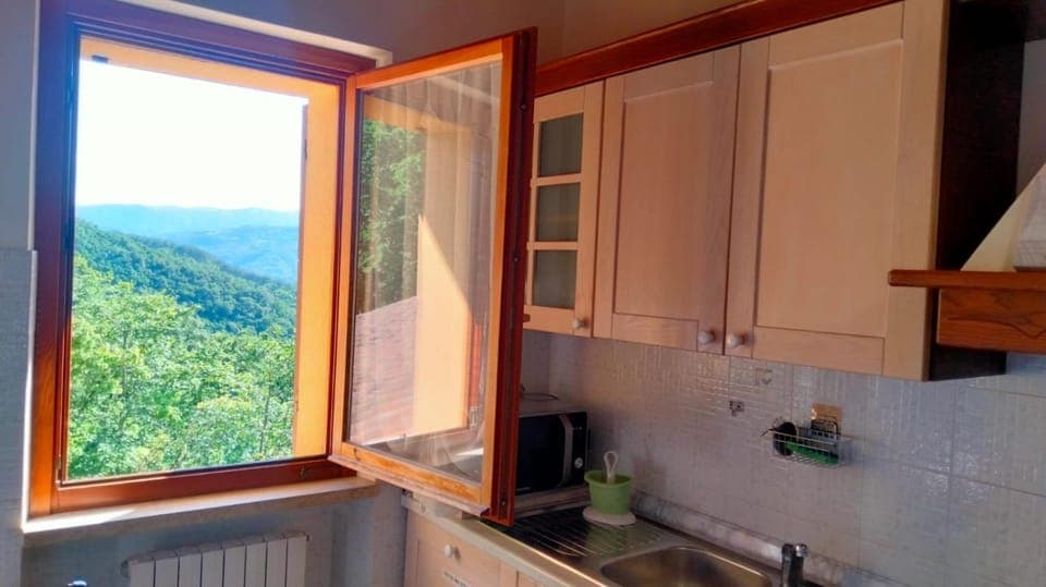 Kitchen or kitchenette, Mountain view