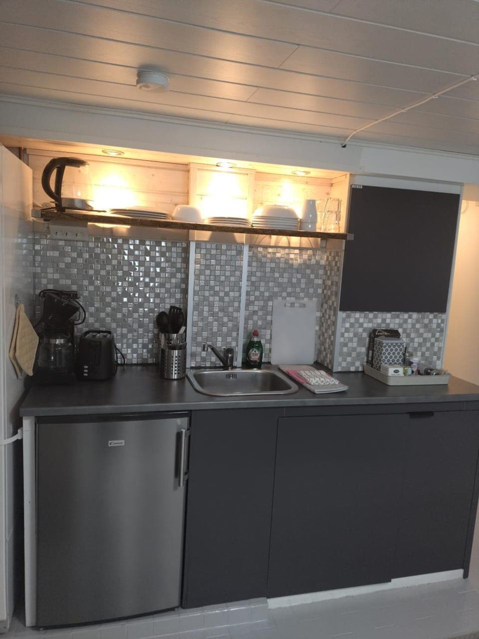 Coffee/tea facilities, Kitchen or kitchenette, minibar, stove, toaster