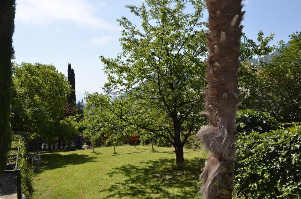 Day, Natural landscape, Garden, Garden view