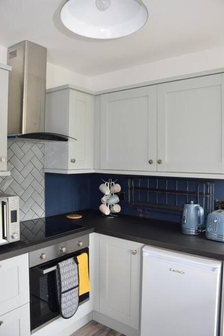 Coffee/tea facilities, Kitchen or kitchenette, minibar, pet friendly, stove, toaster, laundry