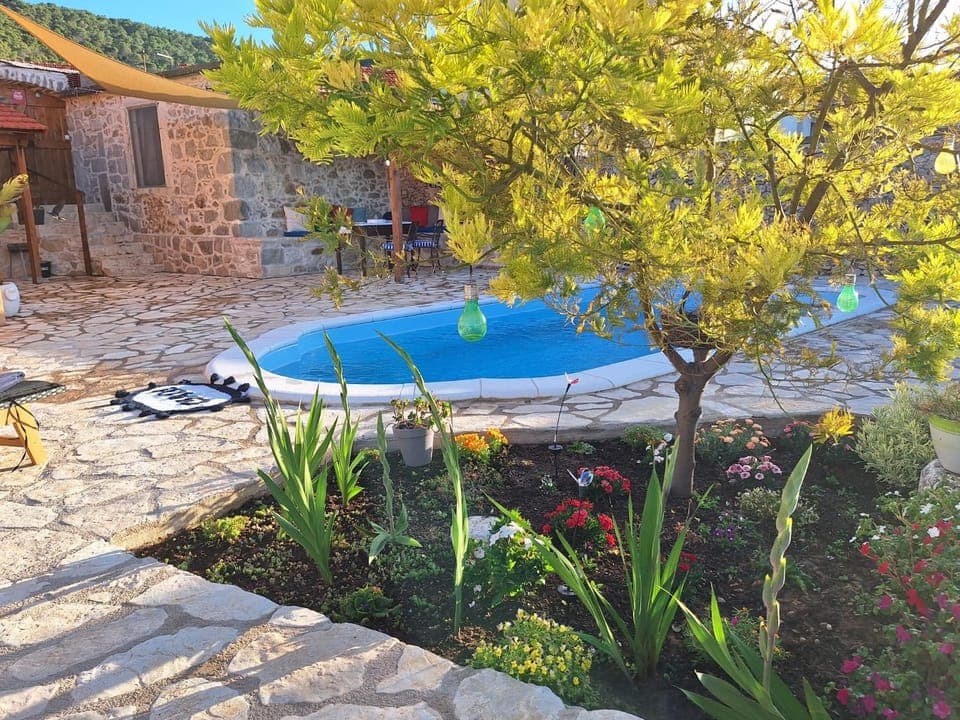 Garden, Swimming pool