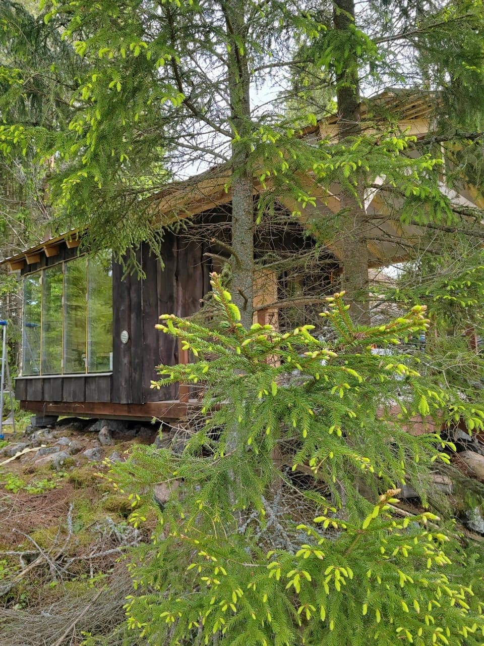 Property building, Natural landscape