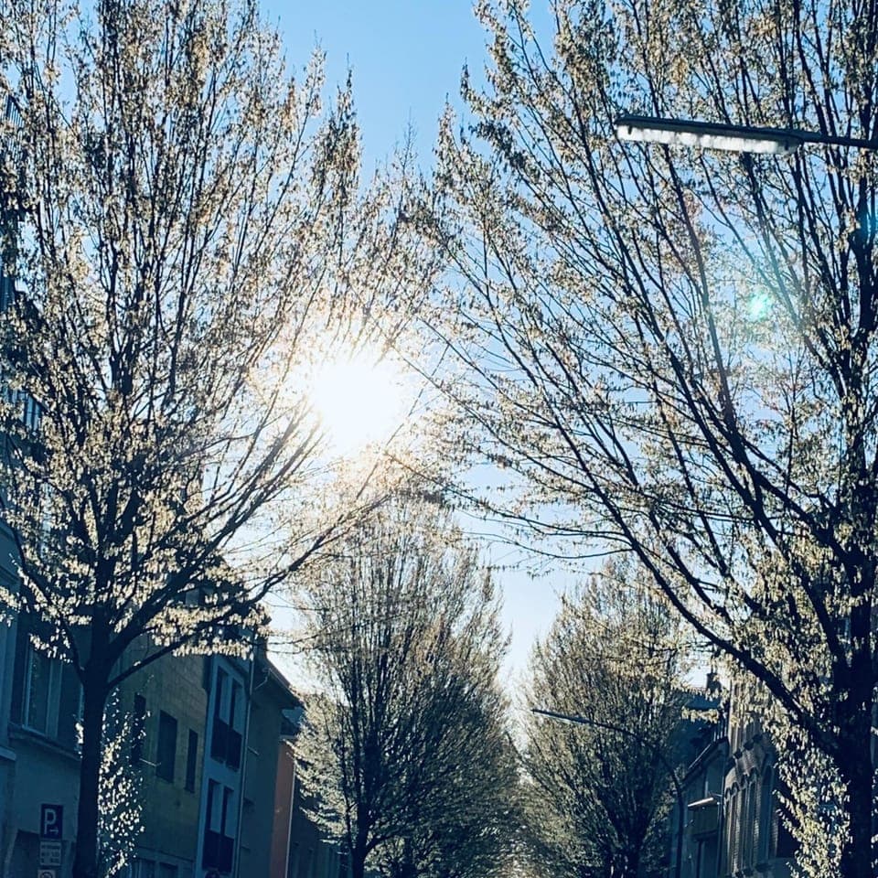 Spring, Day, Street view