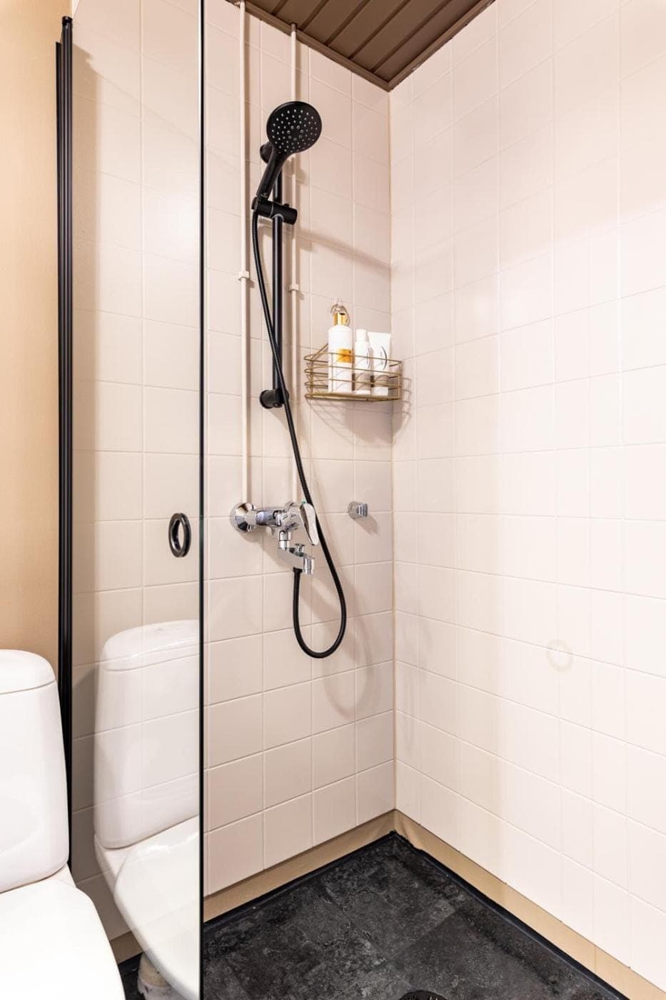 Shower, Toilet