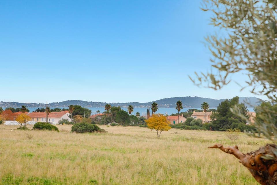 View (from property/room)