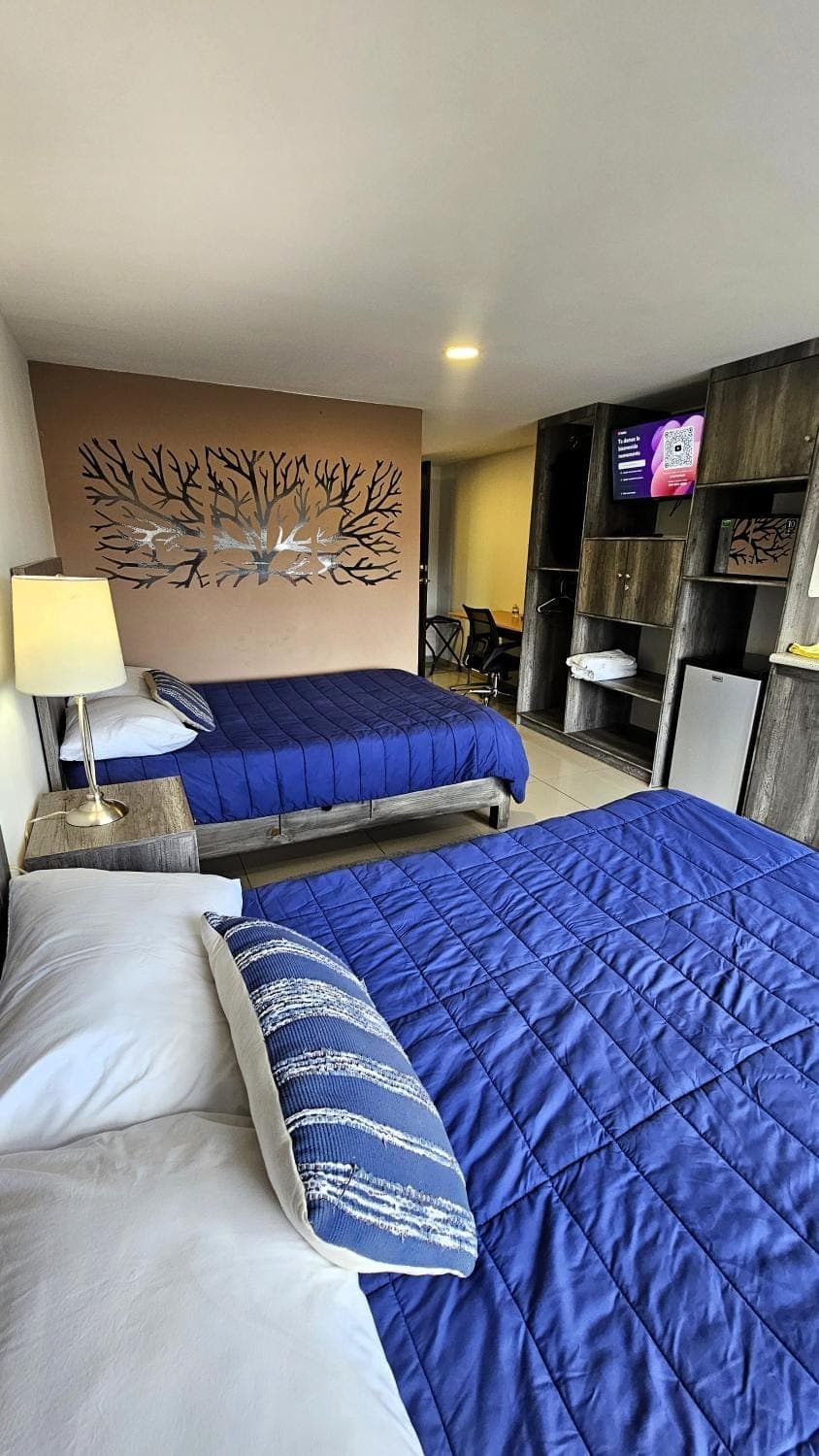 Bed, Living room, Photo of the whole room, Seating area, Bedroom