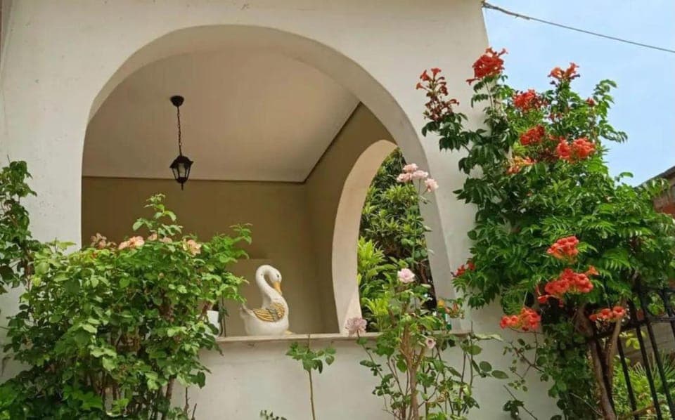 Property building, Balcony/Terrace, Garden view