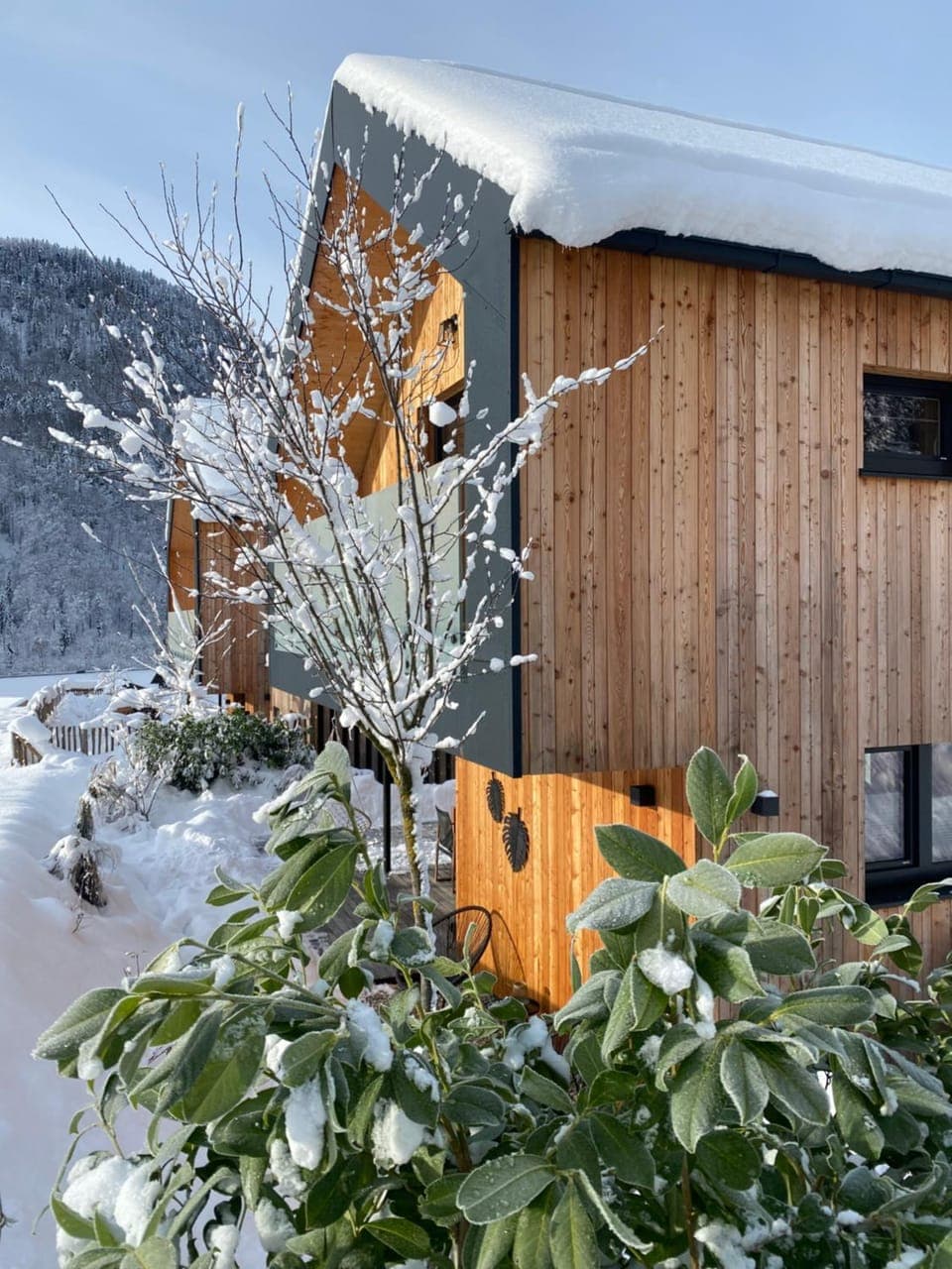 Property building, Winter