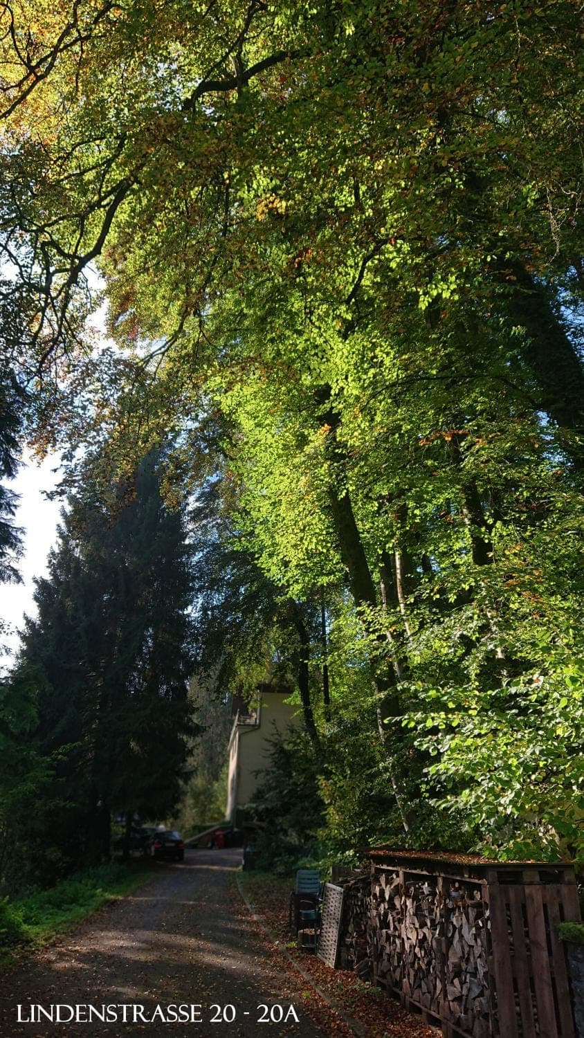 Natural landscape, Hiking, Garden view