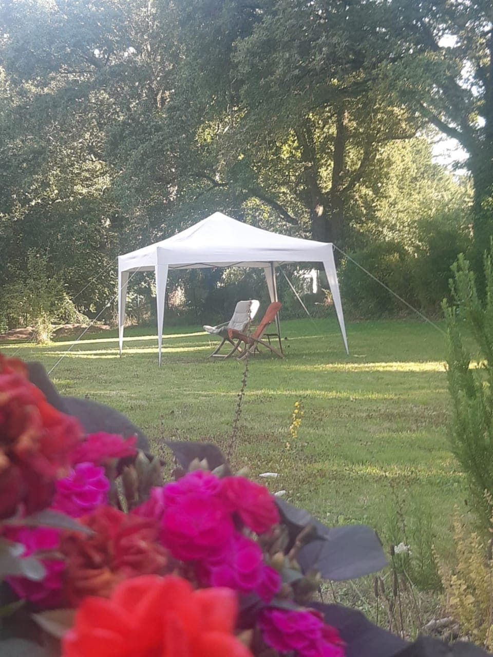 Natural landscape, Garden, Garden view