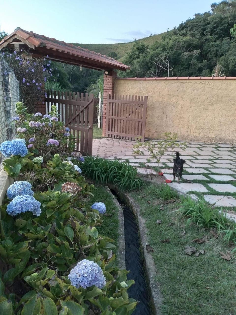 Garden, Parking
