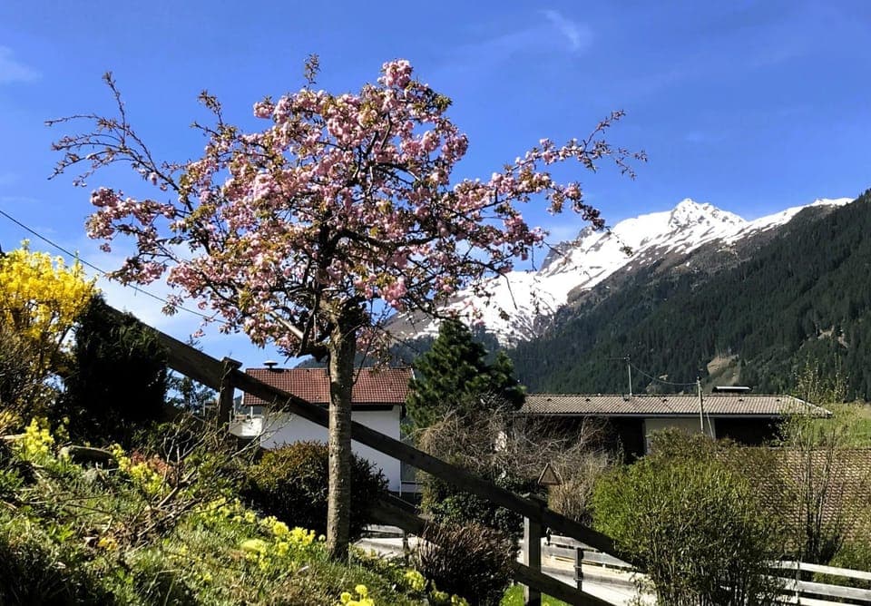 Balcony/Terrace, Mountain view