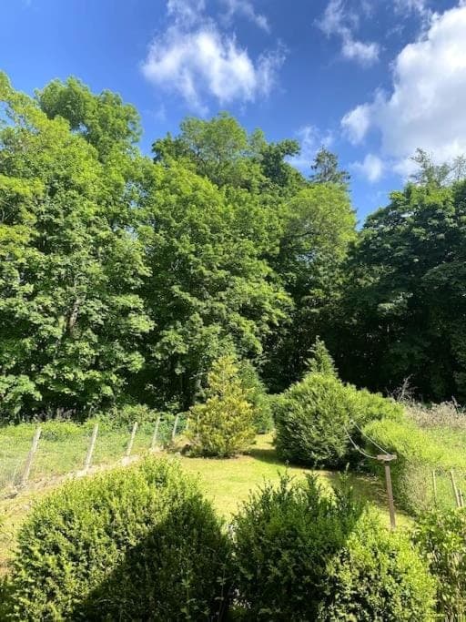 Natural landscape, Garden, Garden view