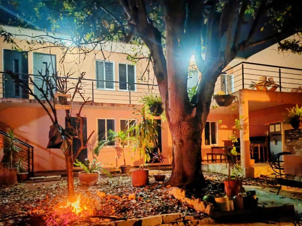 Property building, Garden view