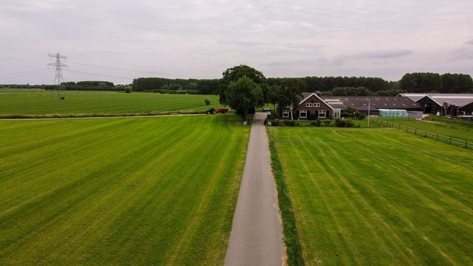 Property building, Day, Neighbourhood, Natural landscape, Summer