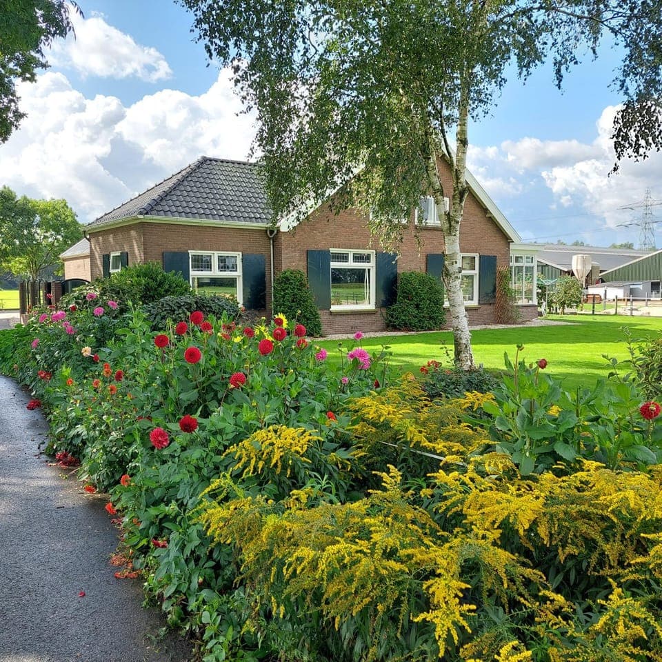 Property building, Garden