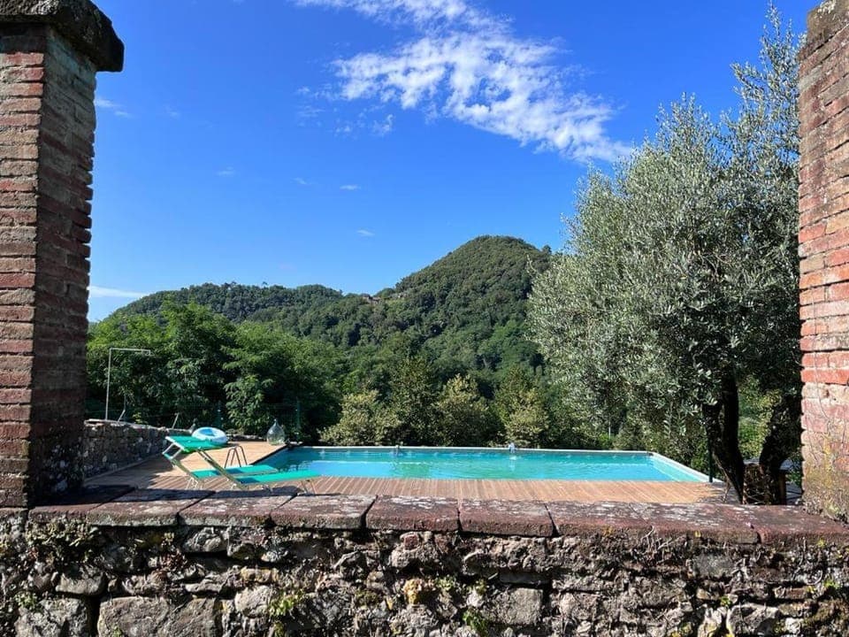 Garden, Pool view, Swimming pool