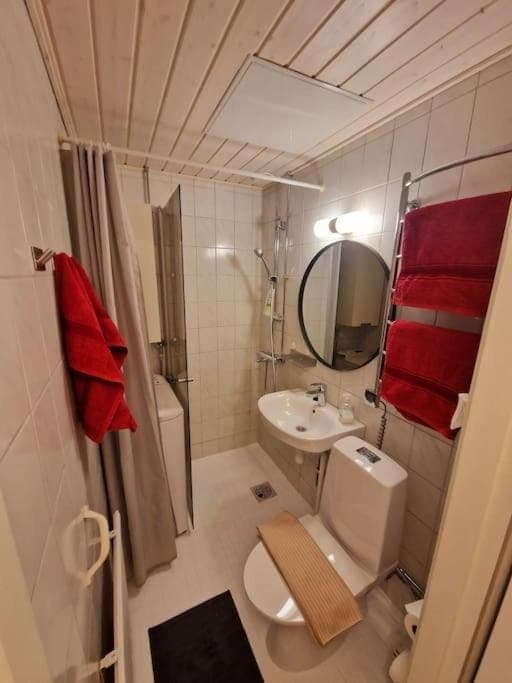 Shower, Toilet, Bathroom, bidet