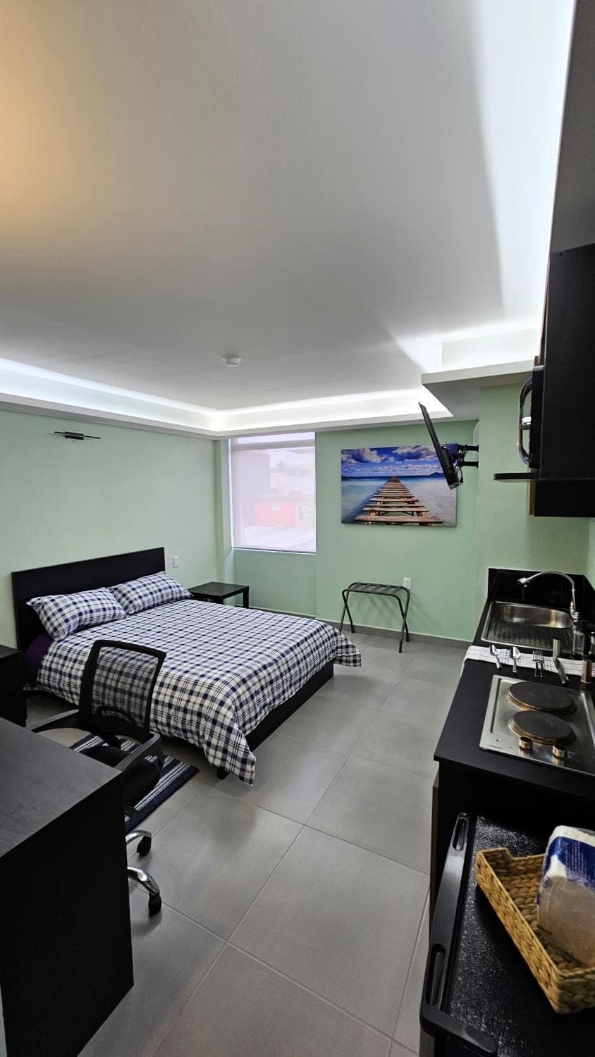 Bed, TV and multimedia, Kitchen or kitchenette, Photo of the whole room, Bedroom, minibar