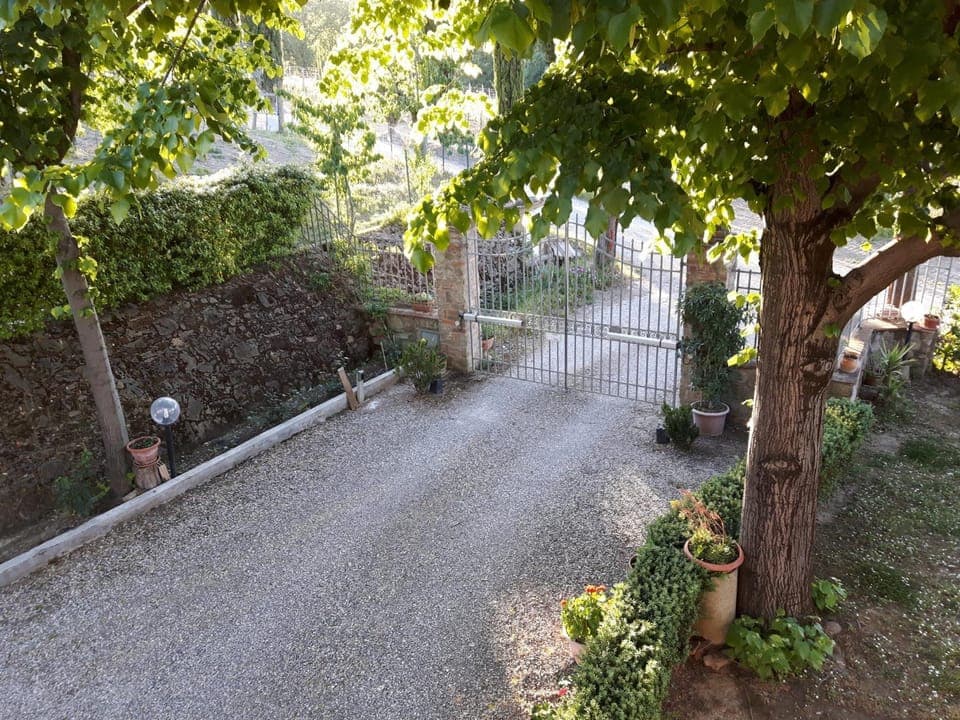 Property building, Natural landscape, Bird's eye view, Summer, Street view, Sunset