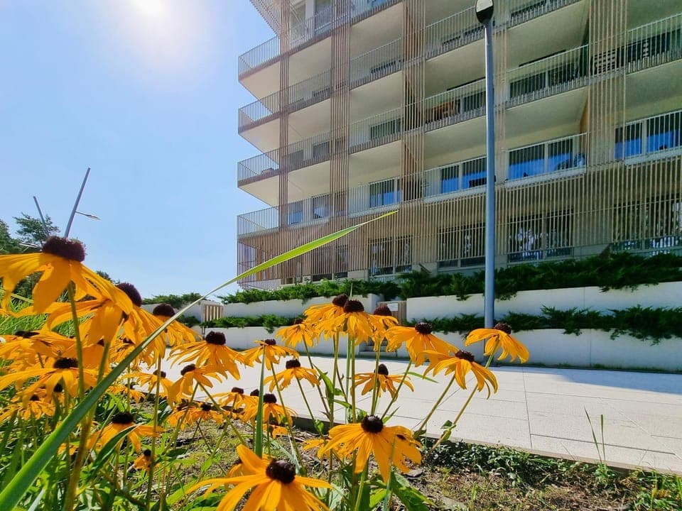 Property building, Garden