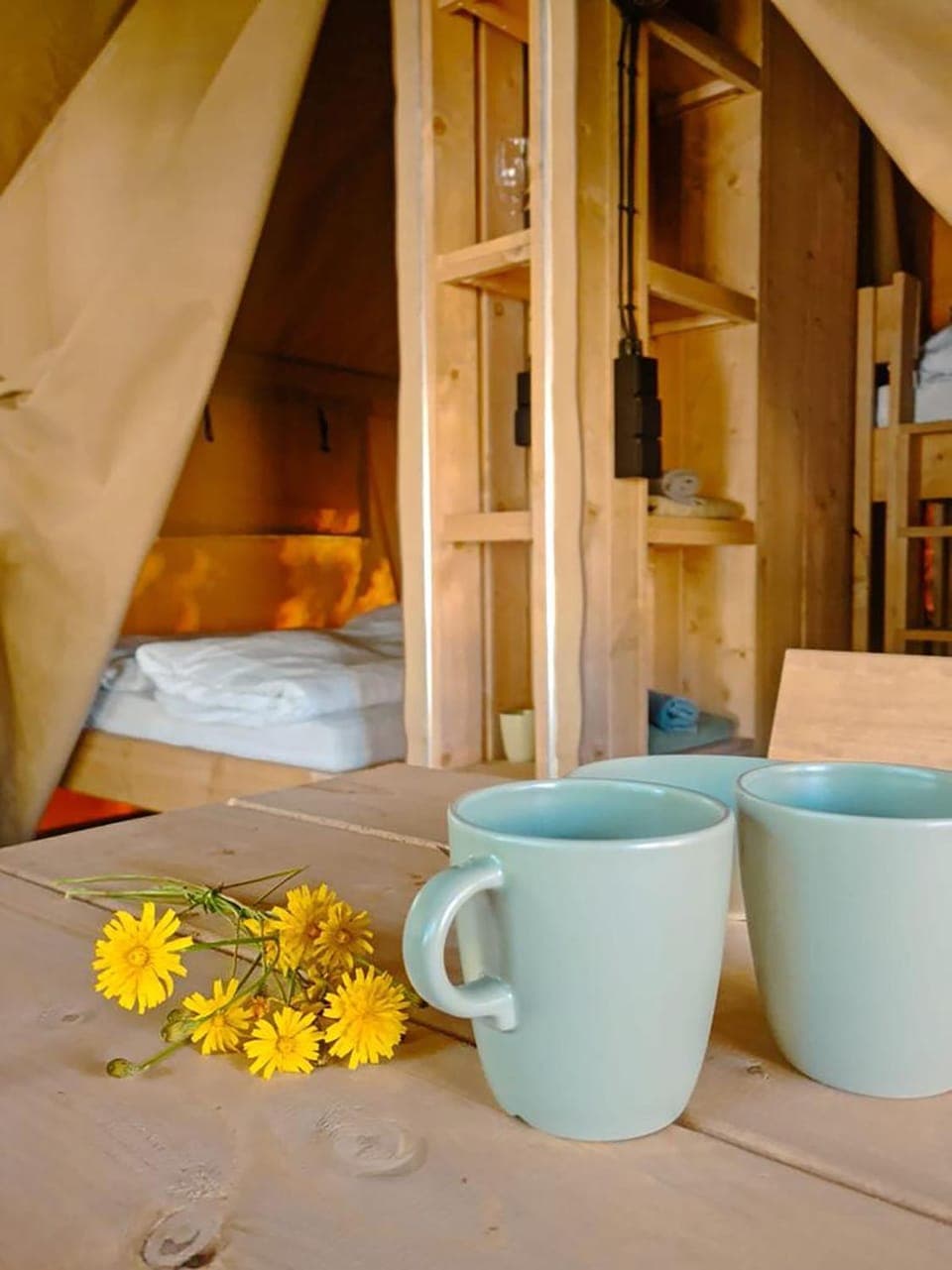 Photo of the whole room