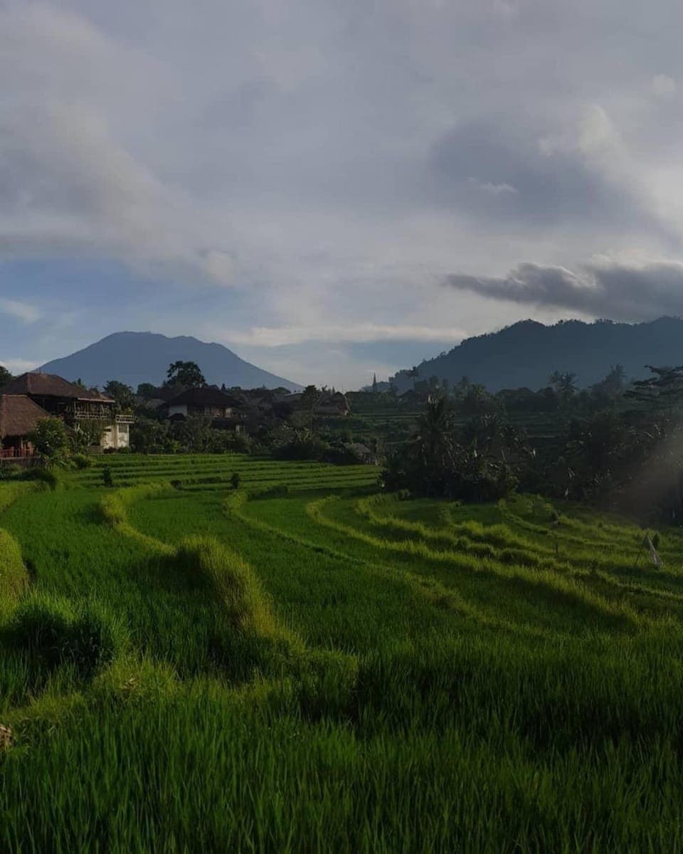 Mountain view
