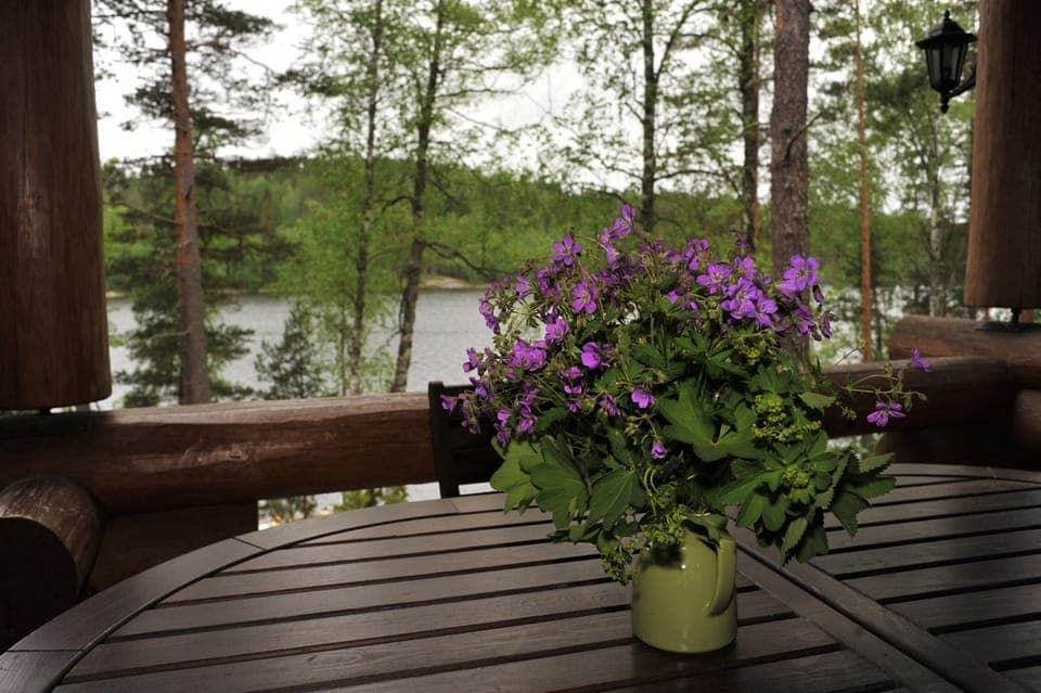 Lake view