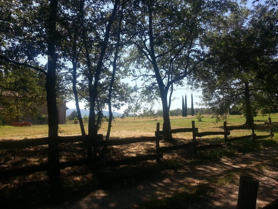 View (from property/room), Garden view