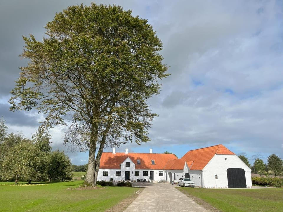 Property building, Day, Garden, Garden view