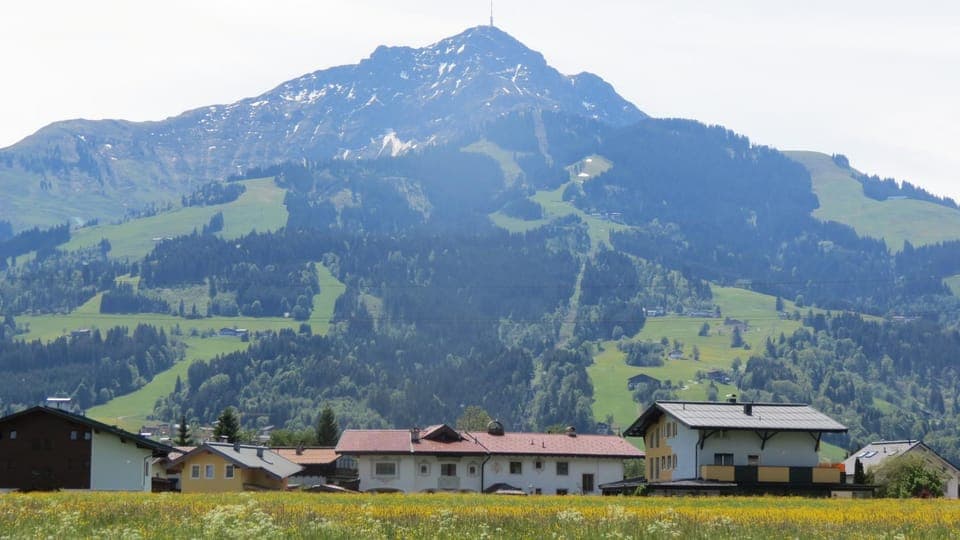 Facade/entrance, Summer