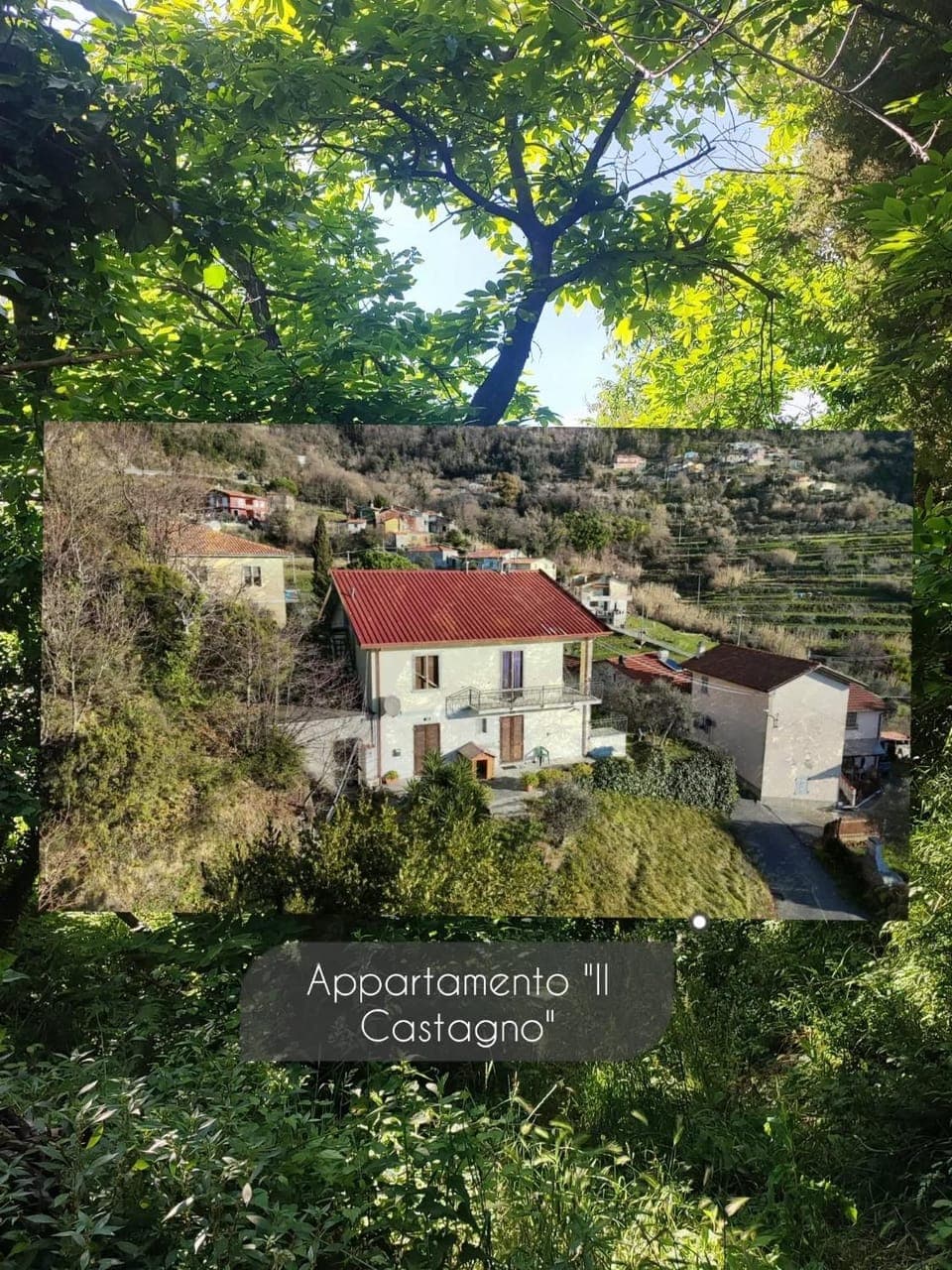 View (from property/room)